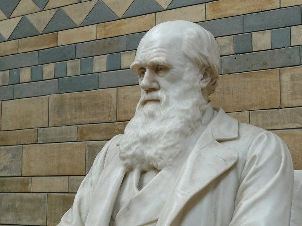 La différence entre Hahnemann et Darwin