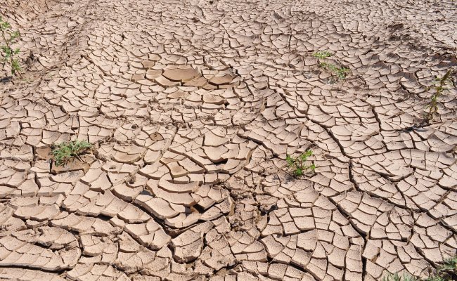 Les sécheresses vont-elles devenir plus fréquentes en France ?
