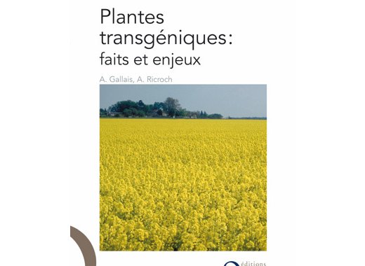 Plantes transgéniques : faits et enjeux
