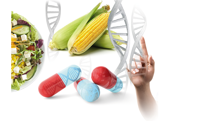OGM : vingt ans de progrès, vingt ans de controverses