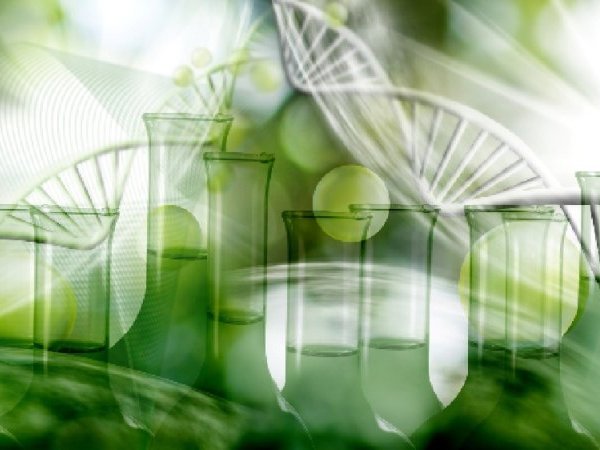 Réglementation des nouvelles technologies d'édition du génome : académies et scientifiques donnent leurs avis