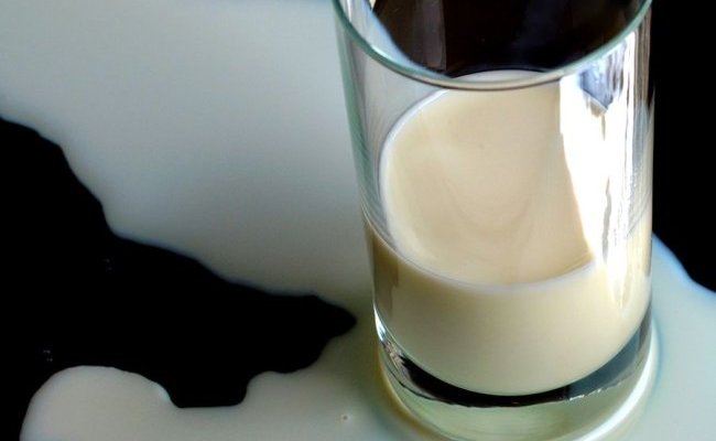 Le calcium du lait est bon pour l'os : une vérité qui dérange !